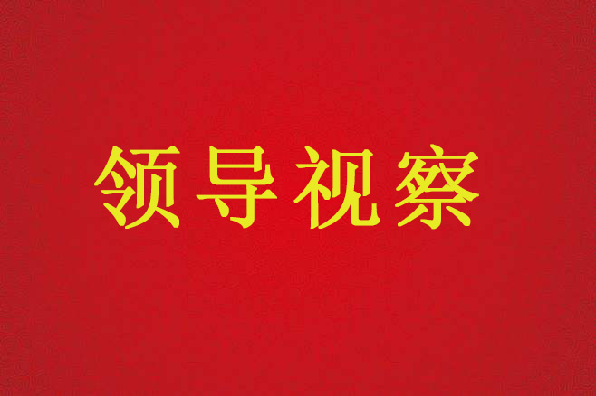 陕西省国土资源厅厅长卢勇一行来不动产登记服务中心调研、指导工作