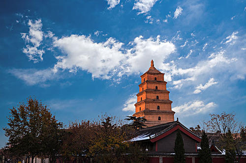 赏曲江美景，体验中国年