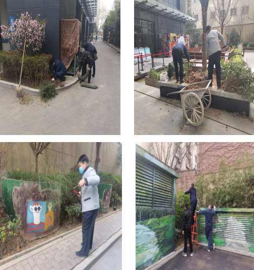 春风习习惹人醉，物业绿化养护忙