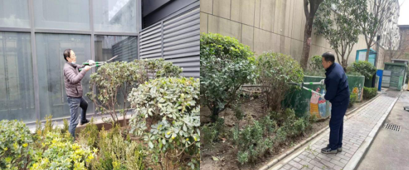 春风得意修绿化，打造宜居新环境