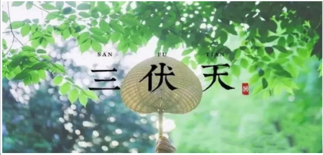 “三伏”驾到，科学防暑